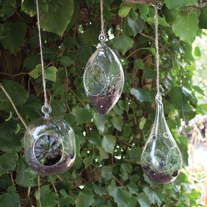 Wrought Studio Whitbourne Glass Hanging Planter & Reviews Wayfair